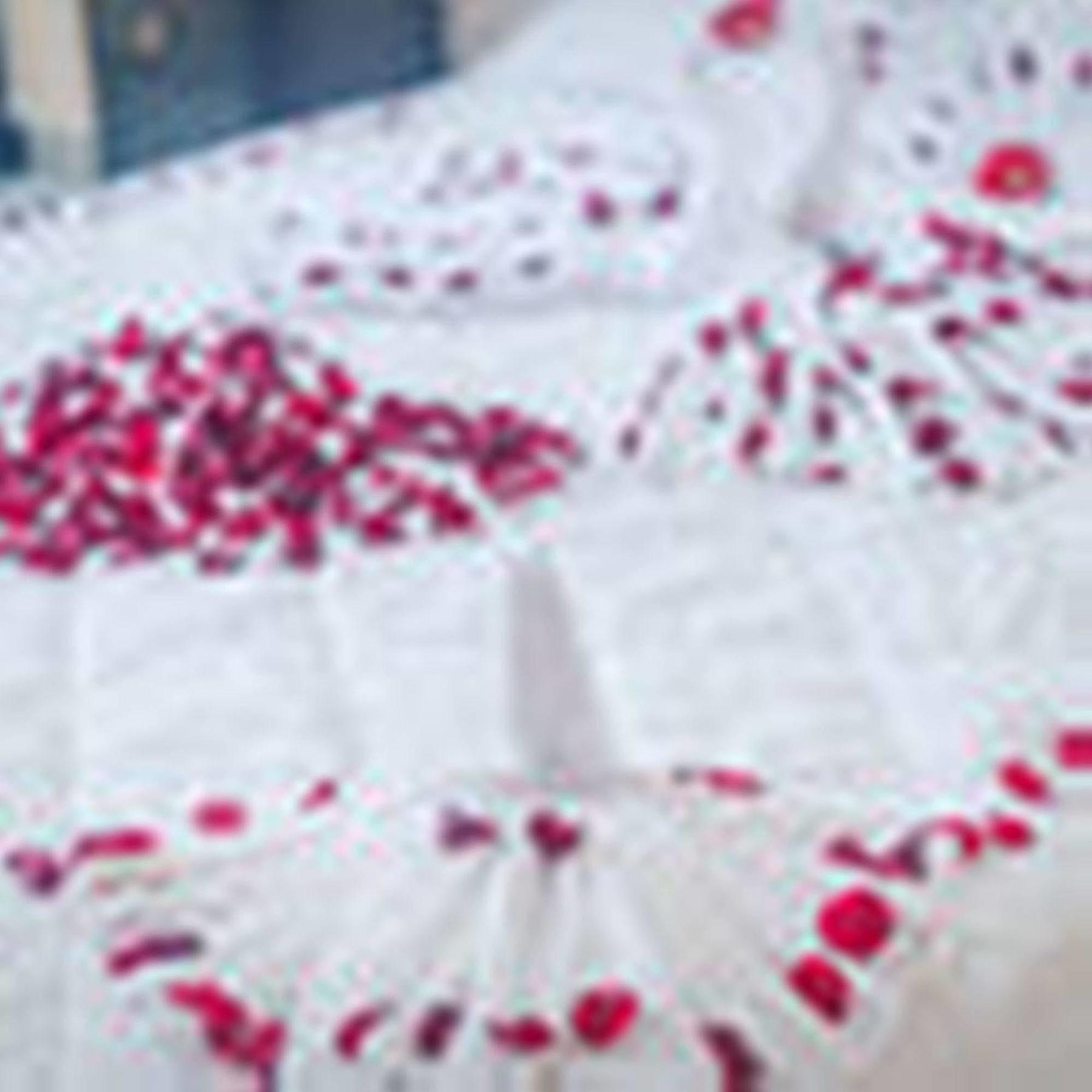 Oyo 117 Gina Hotel Đà Nẵng Extérieur photo