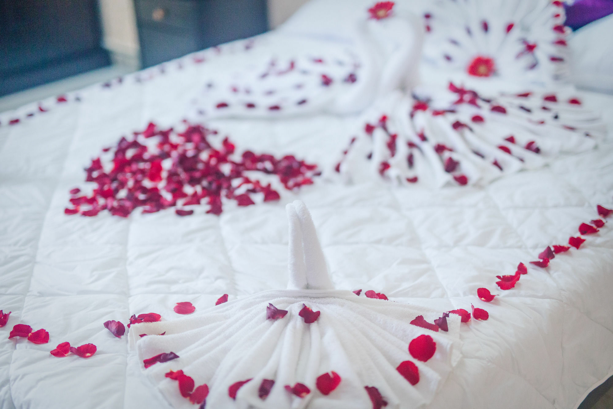 Oyo 117 Gina Hotel Đà Nẵng Extérieur photo
