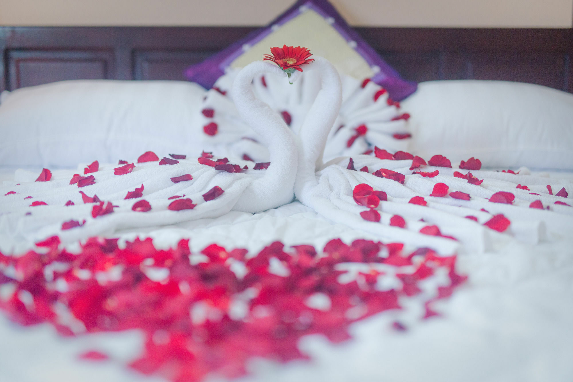 Oyo 117 Gina Hotel Đà Nẵng Extérieur photo