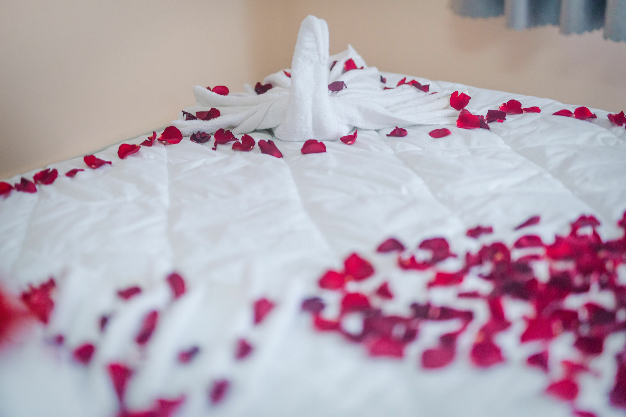 Oyo 117 Gina Hotel Đà Nẵng Extérieur photo