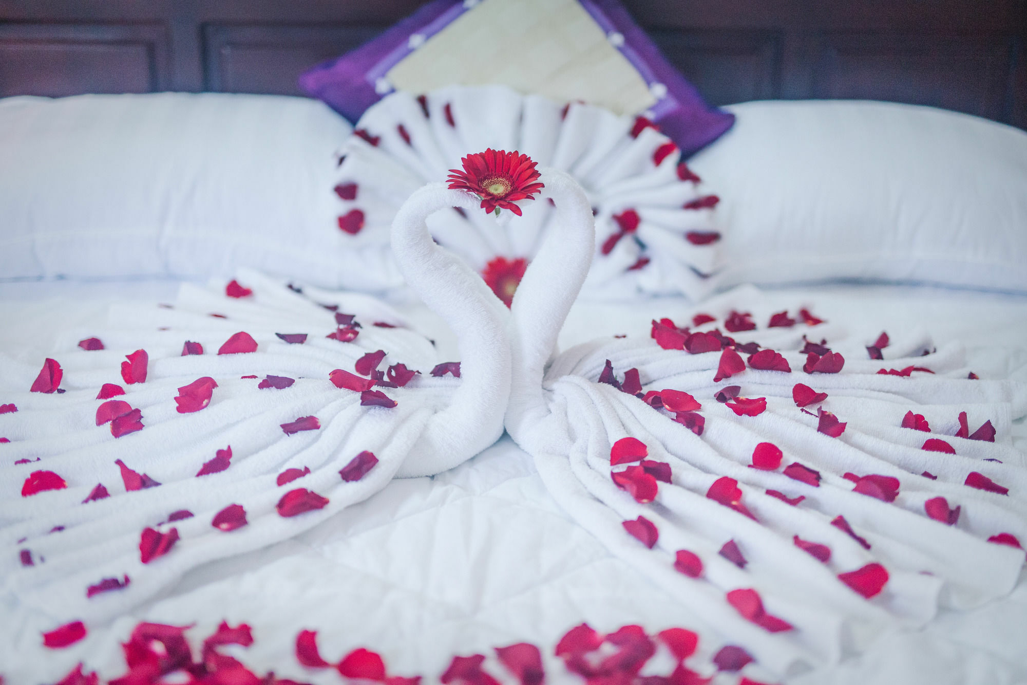 Oyo 117 Gina Hotel Đà Nẵng Extérieur photo